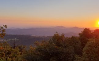 Unter der Sonne Kaliforniens