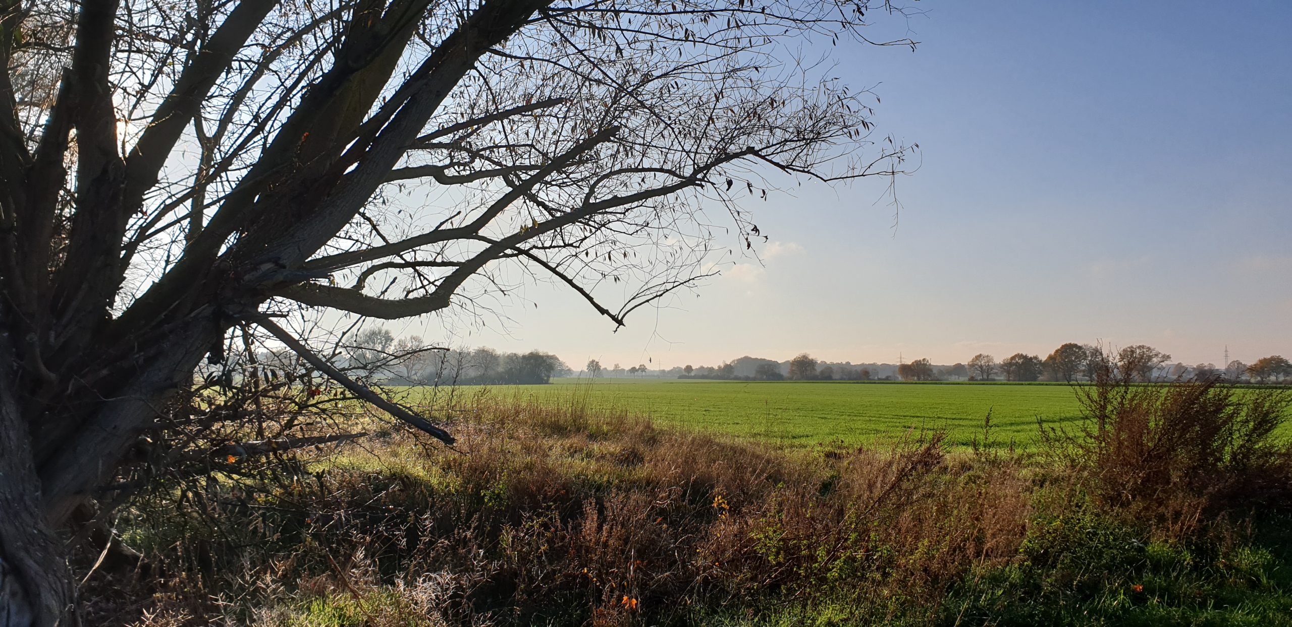 Heimaturlaub